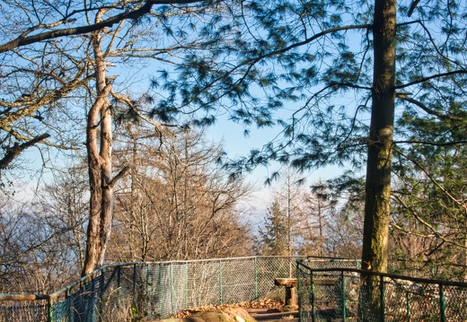 Premiumwanderweg Graf-Heinrich-Weg